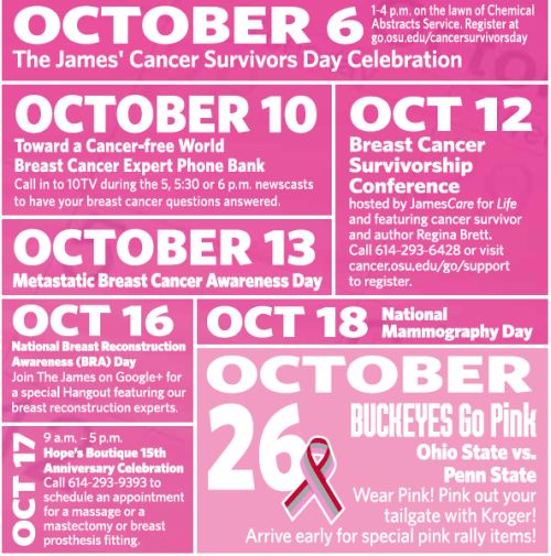 BCAM Calendar 2013